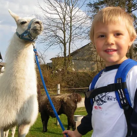 Hotel Jufa Waldviertel Raabs an der Thaya