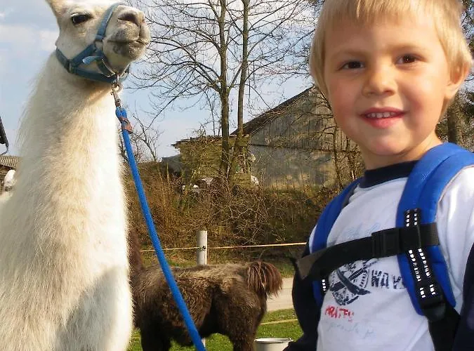 Hotel Jufa Waldviertel Raabs an der Thaya