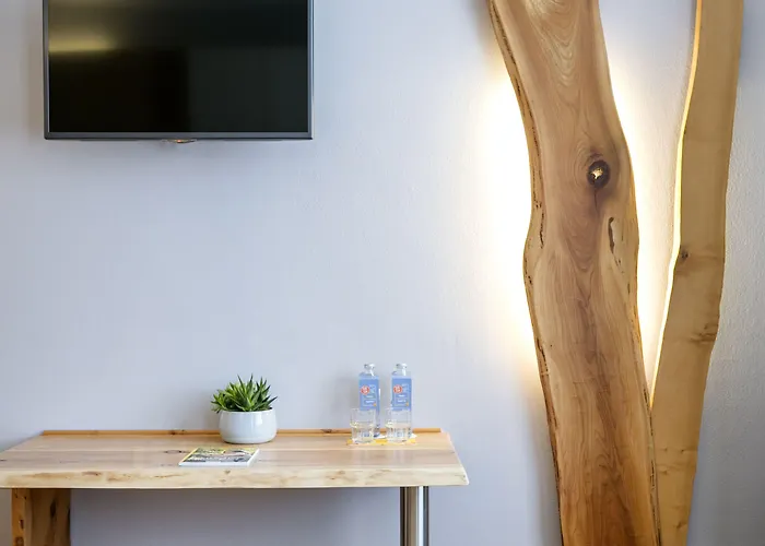 ホテル Jufa Waldviertel ラープス アン デア ターヤー